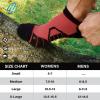 imageHylaea Athletic Running Socks Cushion Padded Moisture Wicking Low Cut3 Pairs Red Blue Green